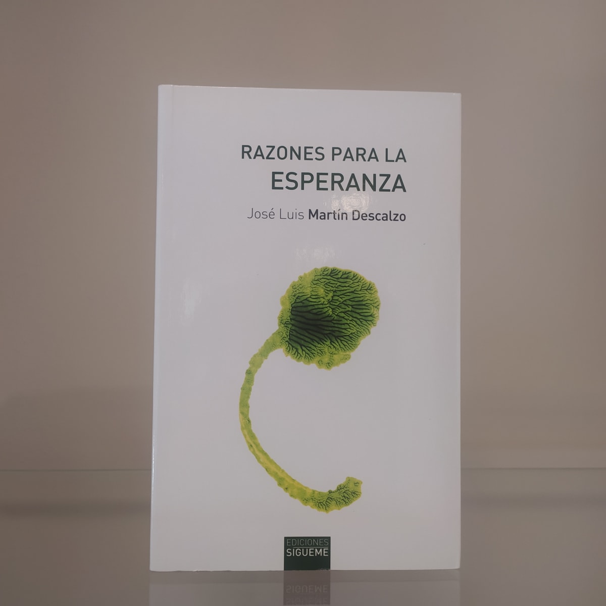 RAZONES PARA LA ESPERANZA1