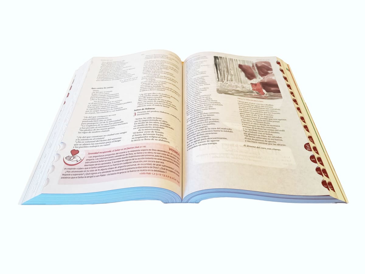 LA BIBLIA JOVEN2