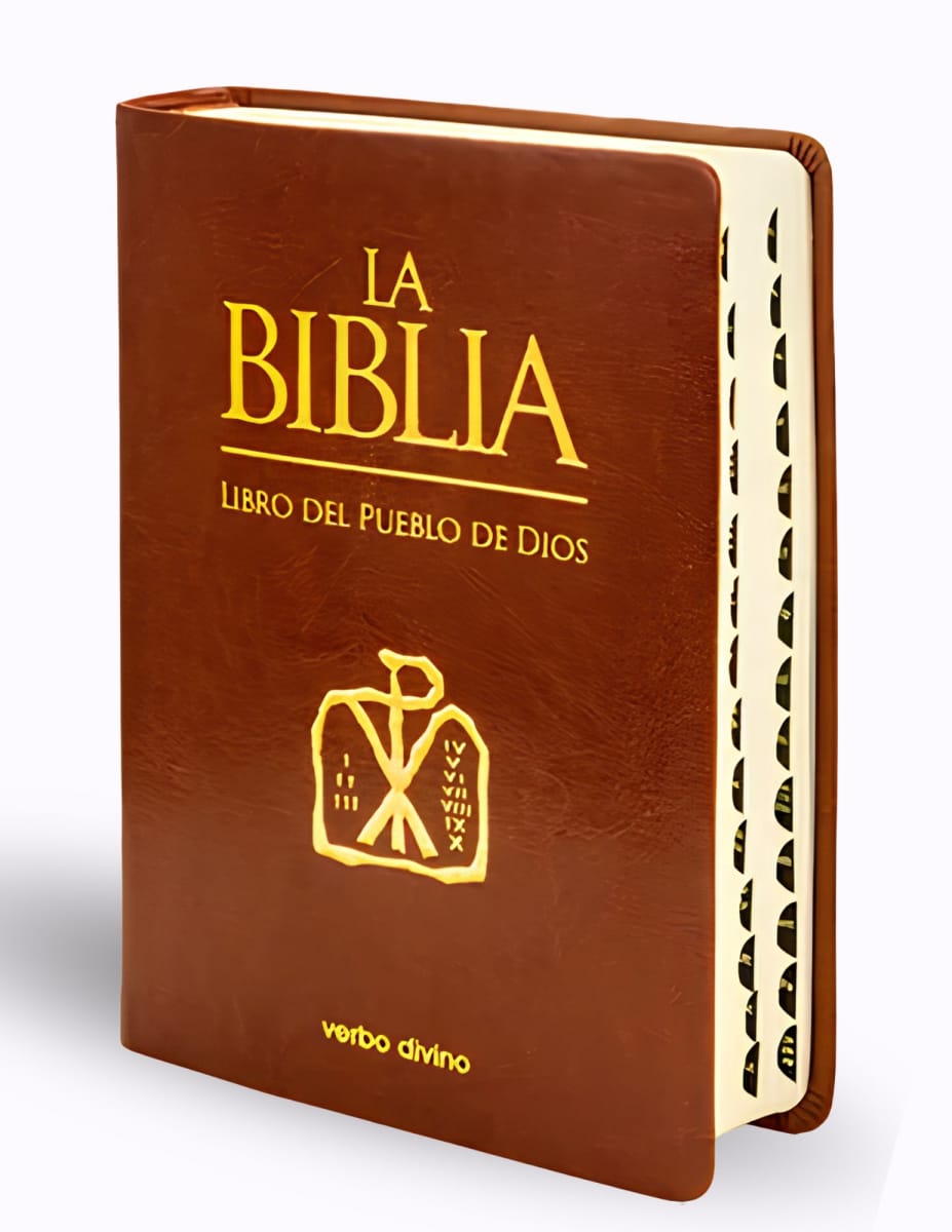 LA BIBLIA - LIBRO DEL PUEBLO DE DIOS EDICION SIMIL PIEL1
