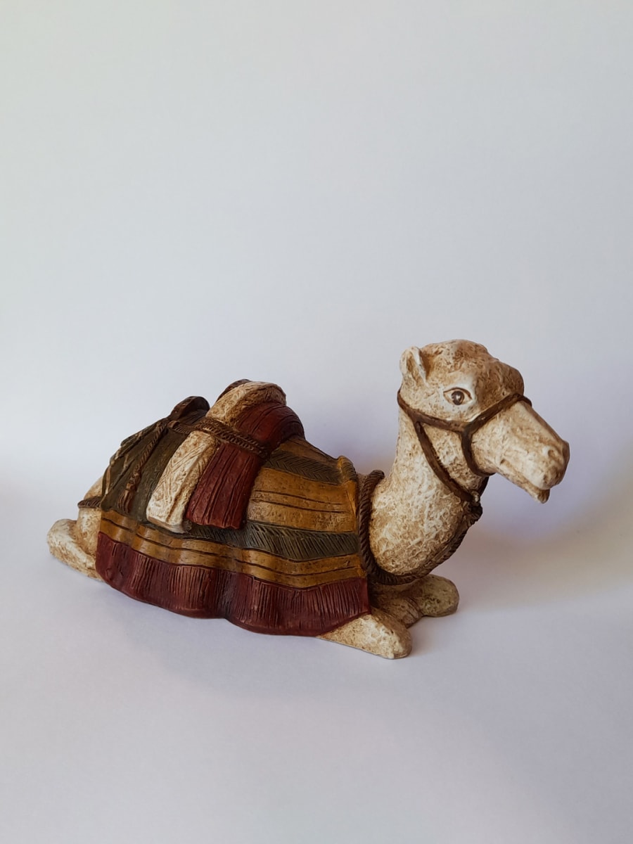DROMEDARIO 7,5CM1