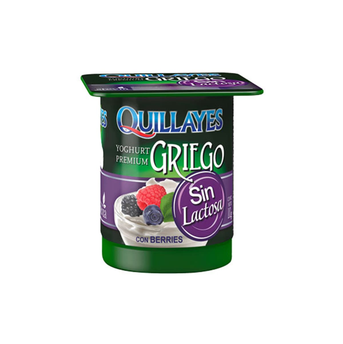 Yogurt Griego sin Lactosa Berries 110 gr. Quillayes Logística Austral