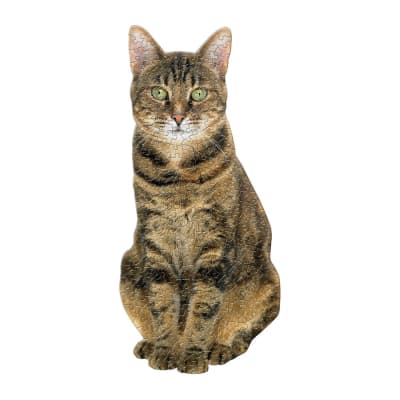 2 PUZZLES CON FORMA 650PCS, QUEEN OF THE STACKS