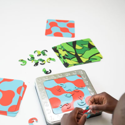ONE IN A CHAMELEON, JUEGO DE INGENIO