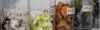 banner aromas3349 title