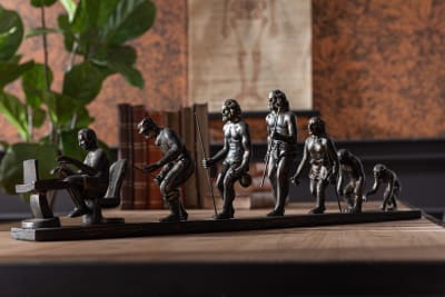 EVOLUCION DEL HUMANO RESINA BRONCE
