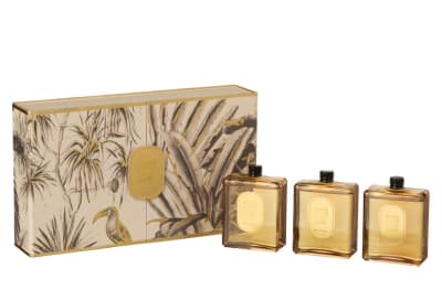 CAJA DE 3 ACEITE PERFUMADA TROPICAL JUNGLE OCRE