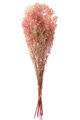 MANOJO GYPSOPHILA SECO ROSA