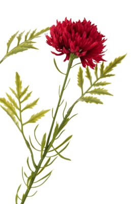 FLOR BOLA CRYSANTEMO PL FUCSIA (23x6x71cm)