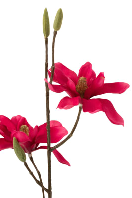 MAGNOLIA RAMA PL FUCSIA CL (11x9x67cm)