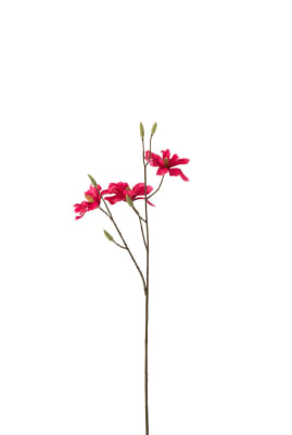MAGNOLIA RAMA PL FUCSIA CL (11x9x67cm)