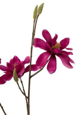 MAGNOLIA RAMA PL FUCSIA OSC (15x8x68cm)