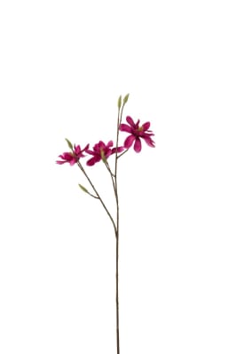 MAGNOLIA RAMA PL FUCSIA OSC (15x8x68cm)