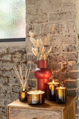 ACEITE PERFUMADA + PALOS EXCELLENT GOLDEN HONEY OCRE