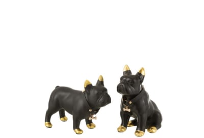 BULLDOG COLLAR CERAMICA NEGRO/ORO SMALL SURTIDO DE 2