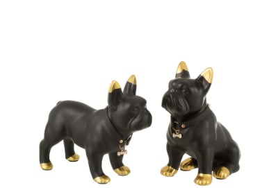 BULLDOG COLLAR CE NE/OR M ASS2 (24x10x19cm)