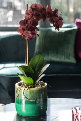 ORQUIDEA + MACETA PLASTICO/CEMENTO ROSA OSCURO/PLATA
