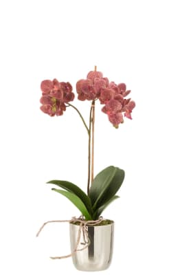 ORQUIDEA + MACETA PLASTICO/CEMENTO ROSA OSCURO/PLATA