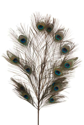 PLUMAS DE PAVO REAL RAMA 14 PLUMAS MEZCLA DE COLORES