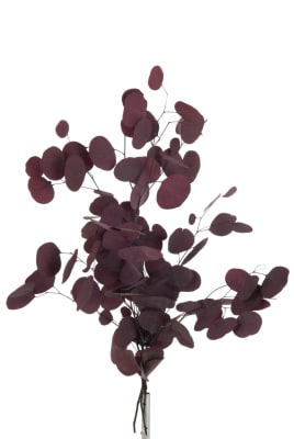 RAMO EUCALIPTO PLANO SECO BURD (37x37x76cm)