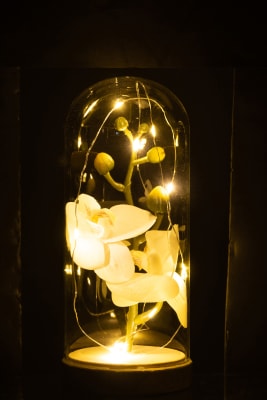 BELL JAR HIGH LED FLOWERS GLASS/WOOD WHITE/NATURAL SMALL