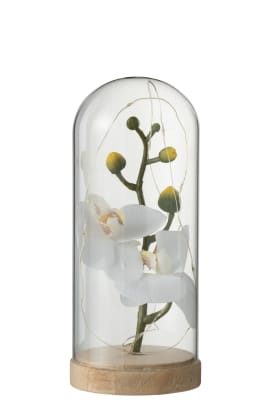 BELL JAR HIGH LED FLOWERS GLASS/WOOD WHITE/NATURAL SMALL