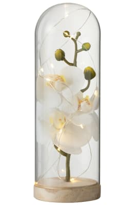 BELL JAR HIGH LED FLOWERS GLASS/WOOD WHITE/NATURAL LARGE