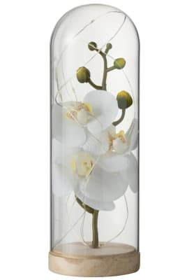 BELL JAR HIGH LED FLOWERS GLASS/WOOD WHITE/NATURAL LARGE