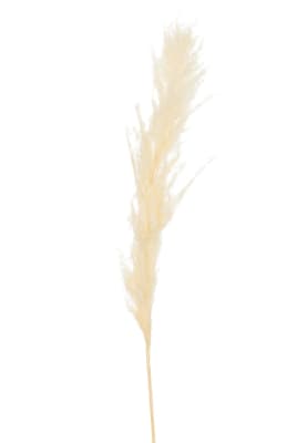 RAMA PLUMAS PAMPAS CRUDO M