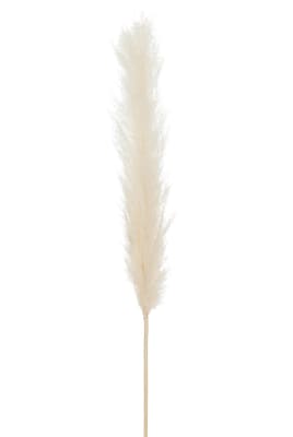 RAMA PLUMAS PAMPAS CRUDO L