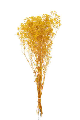 RAMO GYPSOPHILE SECO AMARILLO 