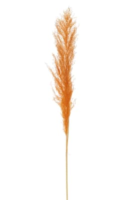 Rama Plumas Pampas Naranja Oxido