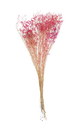 RAMO GYPSOPHILE SECO FUCSIA