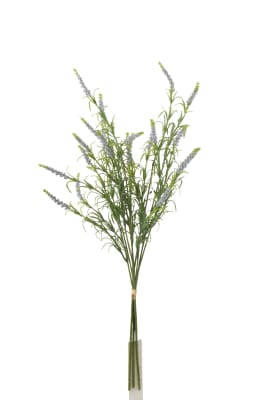 Lavanda Paquete Plastico Morado Claro