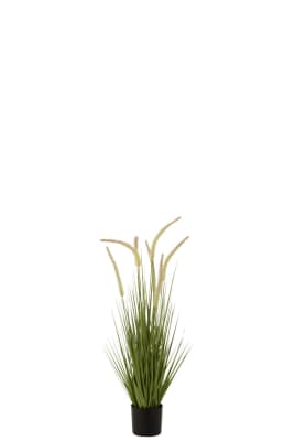 HIERBAS + GRAMINEAS MACETA PLASTICO VERDE SMALL