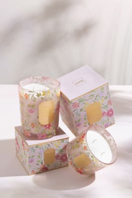 Happiness Blooms Rain Reef Vela Rosa Cera Pequeña