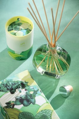 Aceite Perfumado De Mojito
