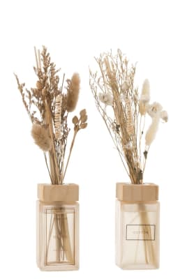 SCENTED OIL + FLOWERS BRANCHES NATURAL