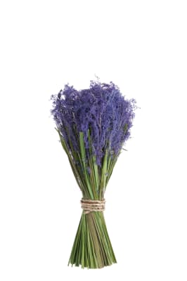 Gavilla Lavanda Atadura Rafia Malva Small 30cm