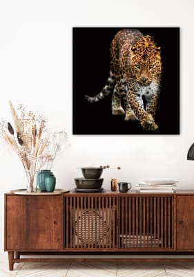 Cuadro Leopardo, cuerpo &color 100x100