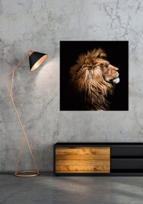 cuadro leon / color perfil 100X100 cms