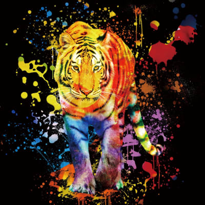 Tigre jugando en colores