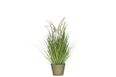 HIERBAS+COLAS EN MACETA METAL VERDE PLASTICO VERDE MEDIUM