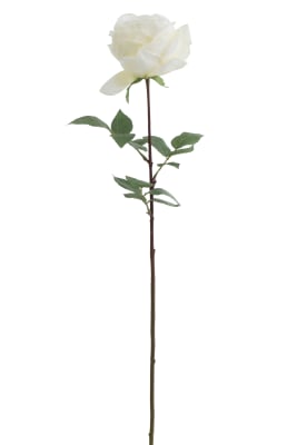 Rosa Simple Fresh Touch Plastico