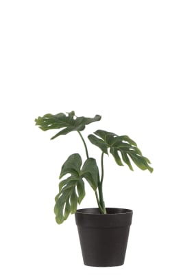 Philo En Maceta 3partes Plastico Verde Small
