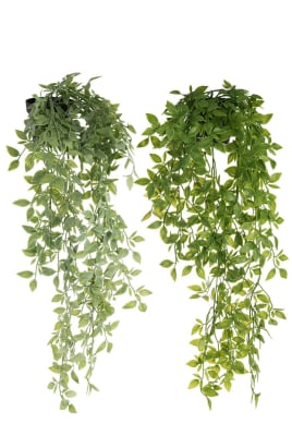 Planta+Maceta Colgante Plástico Verde Mezcla