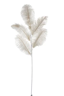 PLUMA DE AVESTRUZ 5PARTE CREMA SMALL