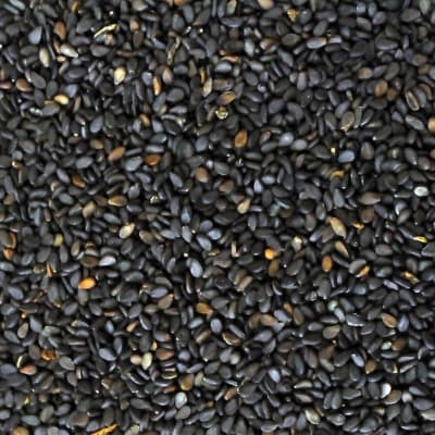 Sesamo Negro TOSTY 200gr Sesamo Negro TOSTY 200gr