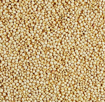 Quinoa Blanca TOSTY 500gr Quinoa Blanca TOSTY 500gr