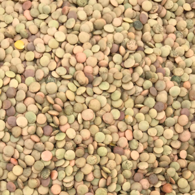 Lentejas TOSTY 500gr Lentejas TOSTY 500gr