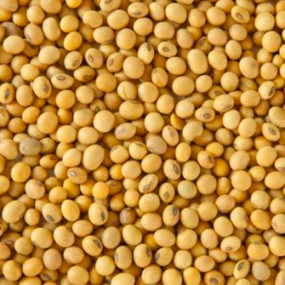Poroto Soya TOSTY 250gr Poroto Soya TOSTY 250gr